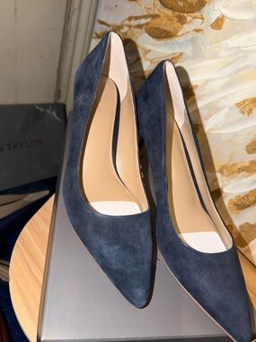 Ann Taylor Navy Suede Pointed-Toe Pumps